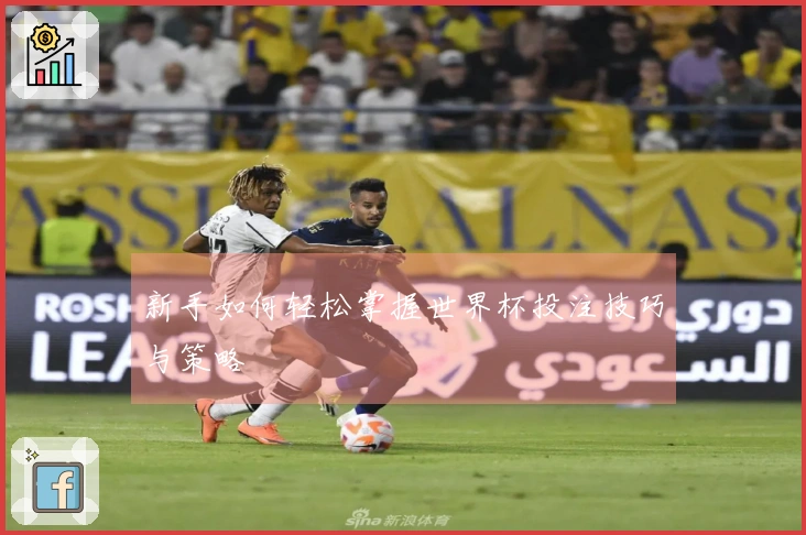 新手如何轻松掌握世界杯投注技巧与策略