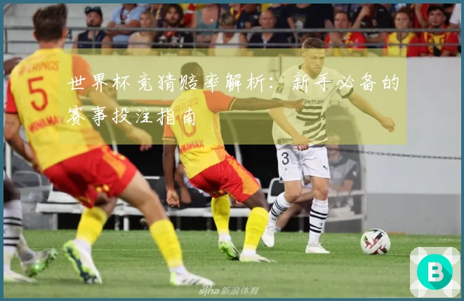 世界杯竞猜赔率解析：新手必备的赛事投注指南