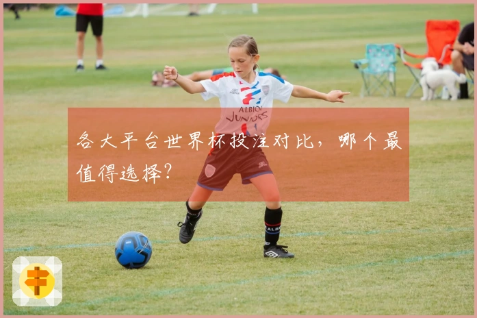 各大平台世界杯投注对比，哪个最值得选择？